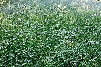 《GTA：三部曲-终极版》MTC遭遇差评轰炸 PC只有0.6分